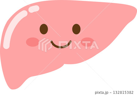 健康な肝臓のかわいいキャラクター 健康な肝臓のかわいいキャラクター 132815382