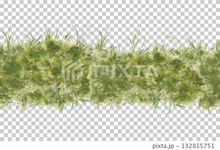 Endless Meadow Grass Texture watercolor isolated. Spring green seamless border with greenery. Botanical repeated foliage background for textile, design farmhouse style, scrapbooking, packaging. Endless Meadow Grass Texture watercolor isolated. Spring green seamless border with greenery. Botanical repeated foliage background for textile, design farmhouse style, scrapbooking, packaging. 132815751