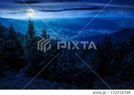 coniferous forest in mountain landscape at night. scenic place in national park in full moon light. panoramic view of valley and lush green slope. background image for investment or abstract concepts coniferous forest in mountain landscape at night. scenic place in national park in full moon light. panoramic view of valley and lush green slope. background image for investment or abstract concepts 132816396