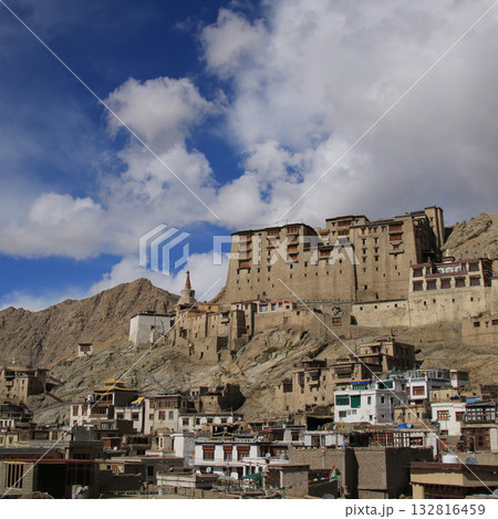 Old kings palace in Leh, India. 132816459