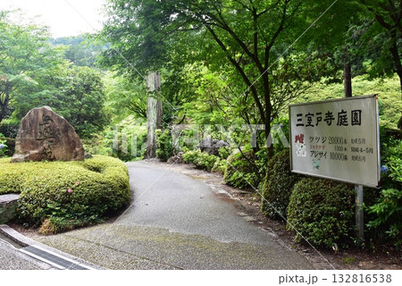 宇治市　三室戸寺庭園案内板と散策路と新緑 132816538