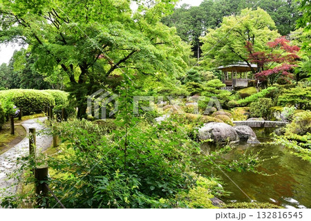 宇治市 三室戸寺庭園の池泉と散策路と新緑 宇治市 三室戸寺庭園の池泉と散策路と新緑 132816545