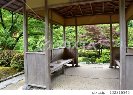 宇治市　三室戸寺庭園の東屋と新緑 132816546