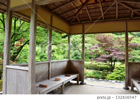 宇治市　三室戸寺庭園の東屋と新緑 132816547