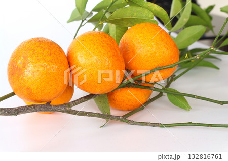 Orange tangerines with green leaves on a white stone background Orange tangerines with green leaves on a white stone background 132816761