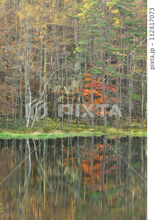 紅葉に染まる御射鹿池 132817073