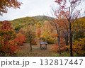 群馬県みなかみ町のどうぞの森の紅葉2025その4 132817447