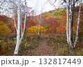 群馬県みなかみ町のどうぞの森の紅葉2025その2 132817449