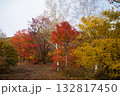 群馬県みなかみ町のどうぞの森の紅葉2025その1 132817450
