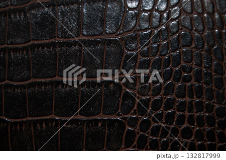 Imitation crocodile skin black and brown texture, useful as background for any design work Imitation crocodile skin black and brown texture, useful as background for any design work 132817999