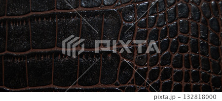 Imitation crocodile skin black and brown texture, useful as background for any design work 132818000