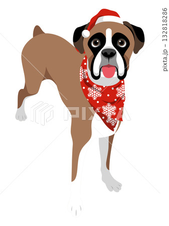 ボクサー犬 ボクサー犬 132818286