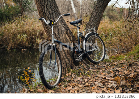 old bicycle leaning against a tree trunk by the water in autumn old bicycle leaning against a tree trunk by the water in autumn 132818860