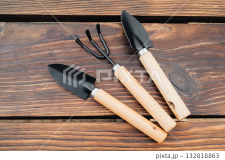 two garden trowels and a rake with wooden handles on a table 132818863