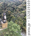 たぬき 132819169