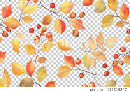 A vibrant pattern featuring autumn leaves and berries on a transparent background, embodying the beauty of fall foliage. 132819247