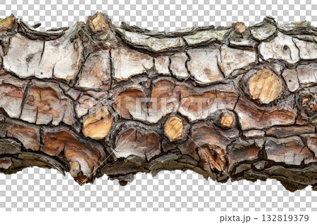 Detailed wooden bark with intricate textures and natural colors showcasing earthy tones and unique patterns. 132819379