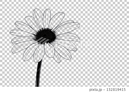 A detailed sketch of a flower featuring broad petals and a slender stem. 132819415