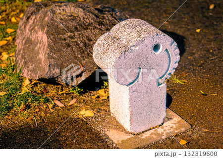 夜に笑う石 132819600