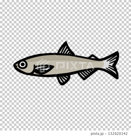シンプルなわかさぎのイラスト シンプルなわかさぎのイラスト 132820142
