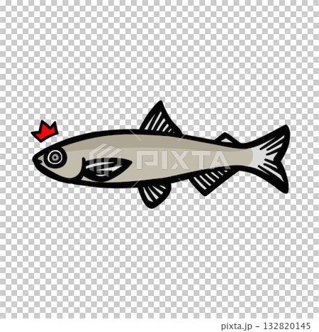 一張簡單的插圖，描繪了一隻受到驚嚇的鬍鬚。 132820145