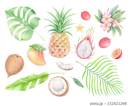 Tropical fruits and leaves, colored pencil and watercolor illustration 132821266