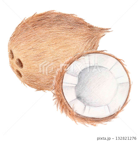 Coconut watercolor and colored pencil illustration Coconut watercolor and colored pencil illustration 132821276
