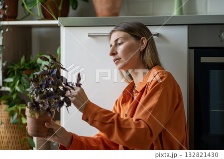 Woman gardener in kitchen holding potted basil in hands, looking at foliage, enjoys home gardening. Woman gardener in kitchen holding potted basil in hands, looking at foliage, enjoys home gardening. 132821430
