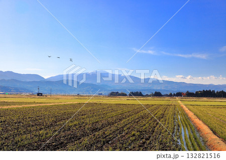 庄内平野霜月の田圃風景 132821516