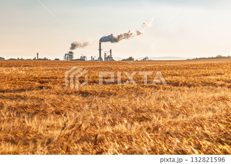 Industrial plant beyond golden wheat field at sunset Industrial plant beyond golden wheat field at sunset 132821596
