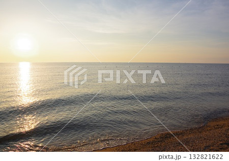 兵庫県南あわじ市　夕暮れの慶野松原海水浴場 132821622