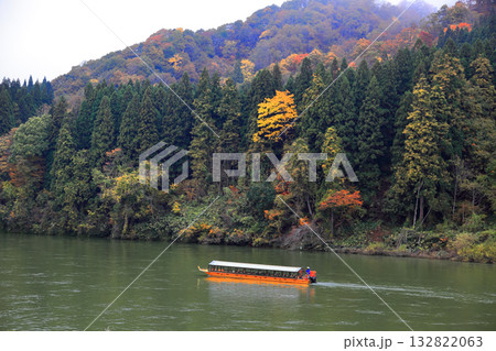 最上川舟下り 紅葉 132822063