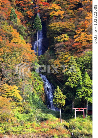 最上川舟下り 紅葉　白糸の滝 132822088
