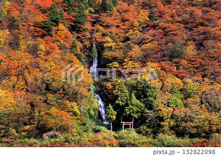 最上川舟下り 紅葉 白糸の滝 最上川舟下り 紅葉 白糸の滝 132822098
