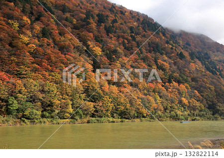 最上川舟下り 紅葉 132822114