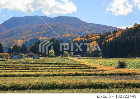 山間の瀬場紅葉風景 山間の瀬場紅葉風景 132822449