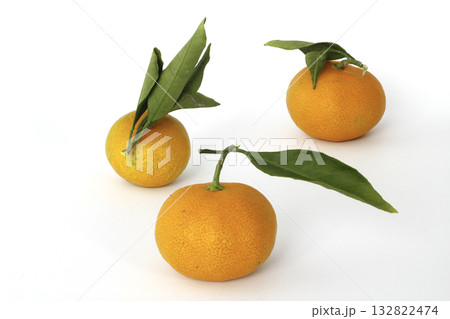 fresh tangerines with leaves 132822474