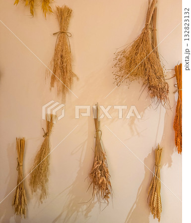 Minimal Dried Grass Decoration on Beige Wall Natural Home Decor Concept Minimal Dried Grass Decoration on Beige Wall Natural Home Decor Concept 132823132