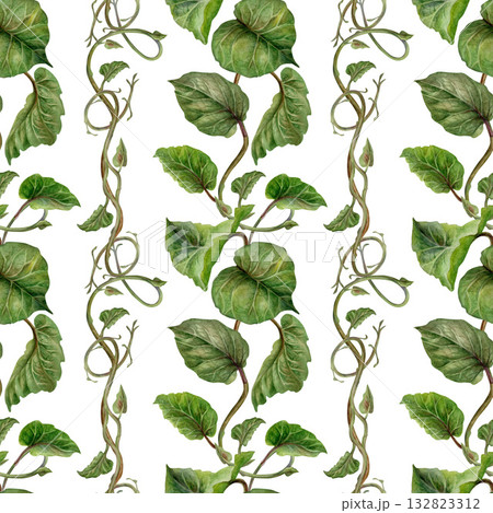 Green kiwi leaves and branches on a seamless pattern on a white background. Spring botanical template for home, children's, and kitchen textiles, wrapping paper, packaging, wallpaper, scrapbooking 132823312