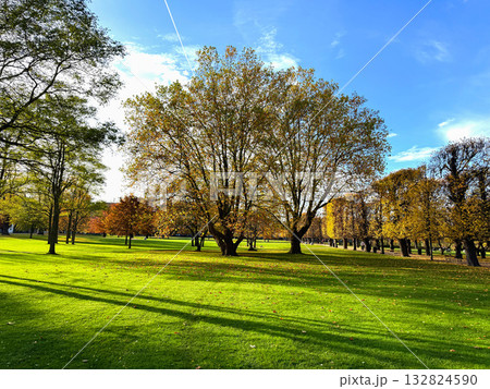 Colorful foliage and green lawn in Kings Garden, Copenhagen Colorful foliage and green lawn in Kings Garden, Copenhagen 132824590