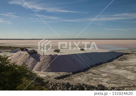Trucks unloading raw salt bulk, Salinas  132824620