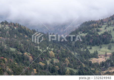 霧が立ち込める秋の志賀高原 渋峠からの景色 132824948