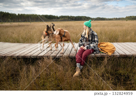 Two dogs meeting each other on daily walk at autumn peat bog, playing together alongside woman hiker 132824959