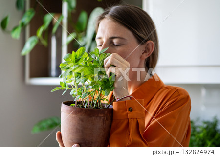 Woman gardener in kitchen holding potted mint in hands smelling fresh aroma, touching green foliage. 132824974