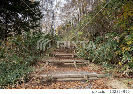 志賀高原の田ノ原湿原へ向かう秋の遊歩道 132824999