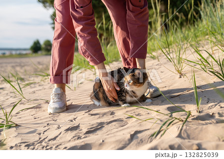 Woman on beach coast together with her pet, worried domestic cat sits on sand, exploring wild nature 132825039