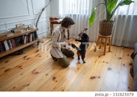 Pet caretaker playing with cat. Woman stimulating hunter instincts with pole toy, fun with kitten 132825079