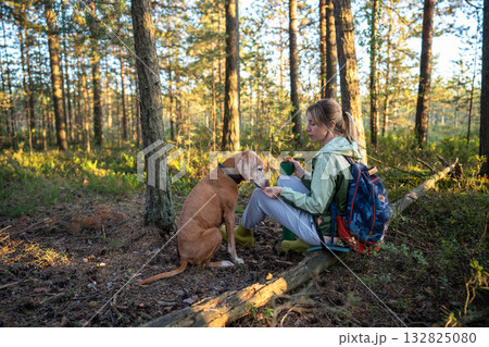 Attentive woman backpacker feeding Vizsla dog by hand and speaking gently during forest walk 132825080
