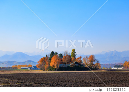 収穫期を終えた十勝平野 132825332