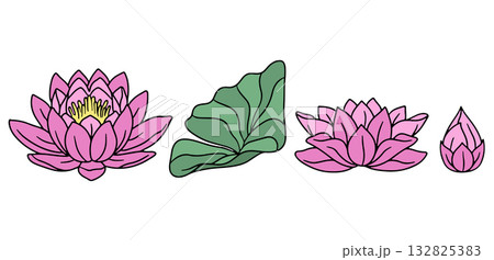 Hand drawn pink lotus flower line art vector illustrations set isolated on white background 132825383